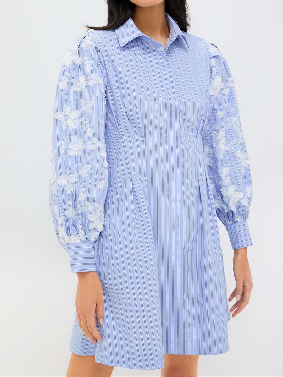 Stripe Embroidery Genevieve Mini Dress